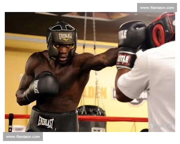 大克里琴科对决维尔德重塑重量级拳坛格局之战历史巅峰力量与技术的较量