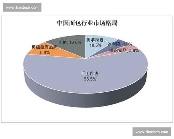 付佳纯vs新生代强者全面较量揭示行业未来走向与格局变化趋势