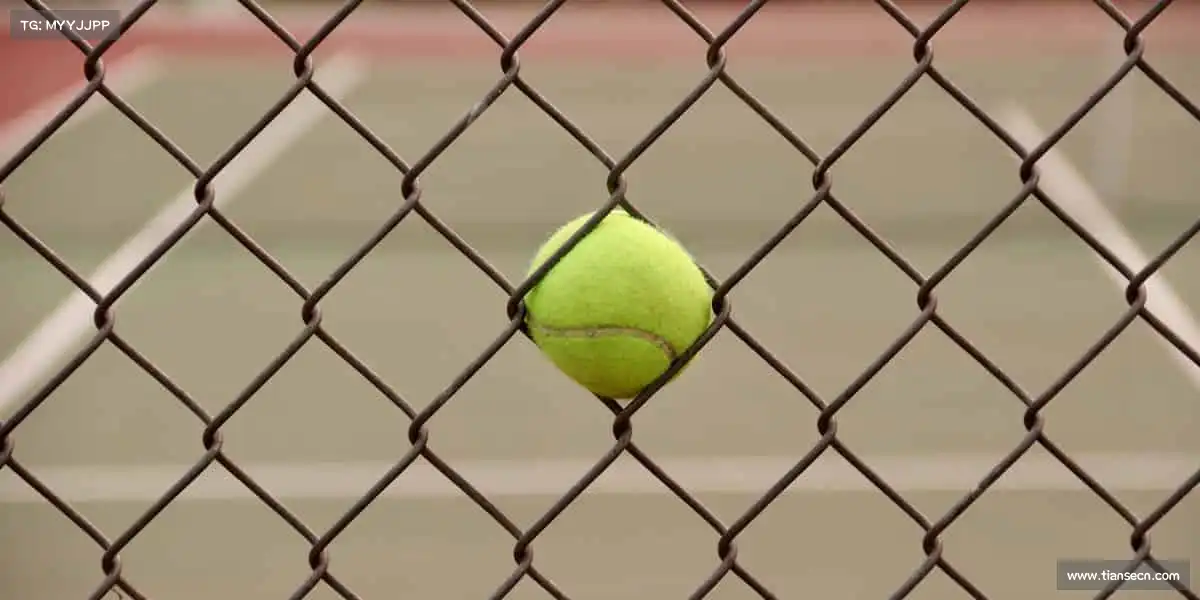 为什么选择我们