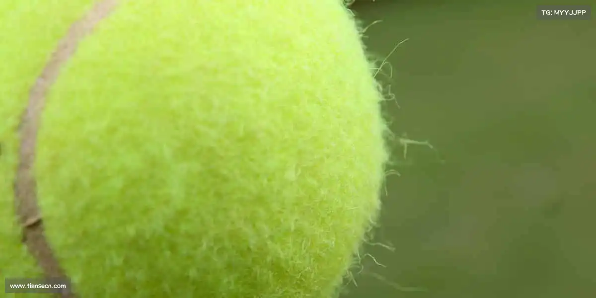 zoty中欧🏆追逐胜利的路上,从不缺少热血与信仰 —— 这里是你的荣耀起点!